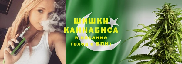 спиды Бородино