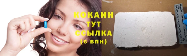 спиды Бородино