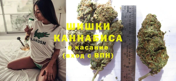 спиды Бородино