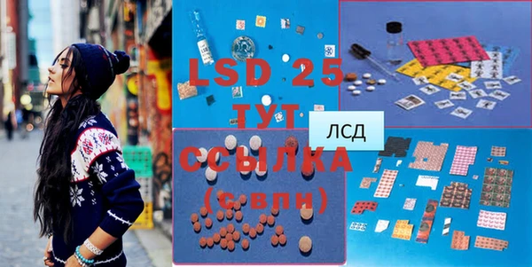 спиды Бородино