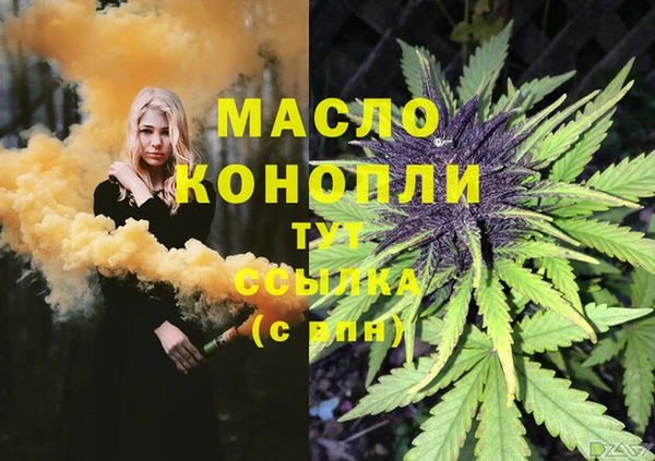 спиды Бородино