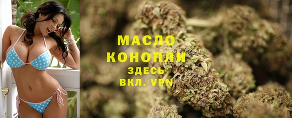 спиды Бородино