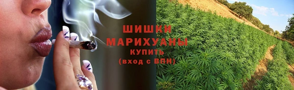 спиды Бородино