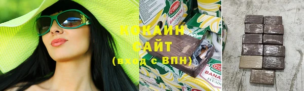 спиды Бородино